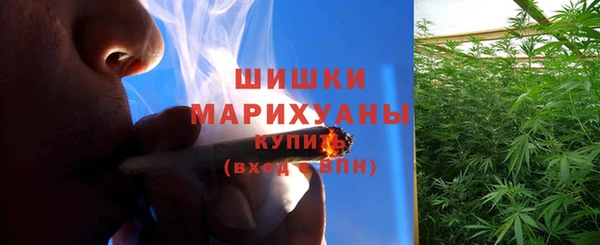 прущие грибы Баксан