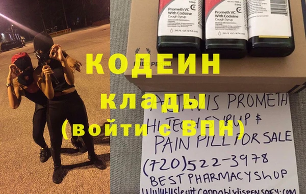 прущие грибы Баксан