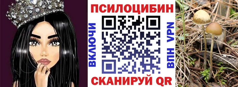 Галлюциногенные грибы GOLDEN TEACHER купить наркотик Валуйки
